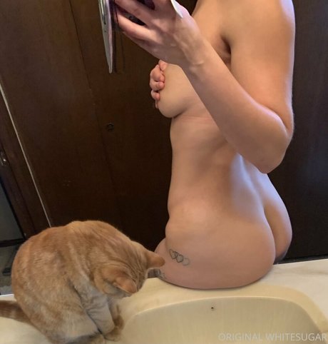 whitesugarr adult star pic