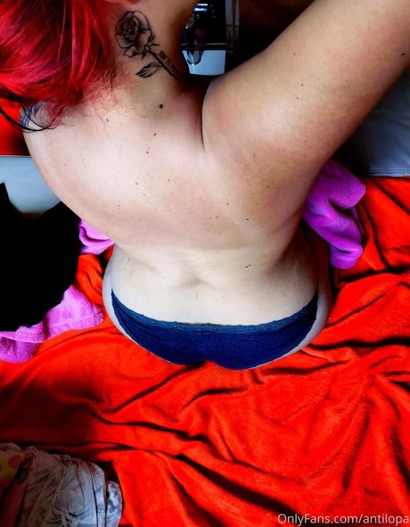 antilopa modèle gratuit galerie