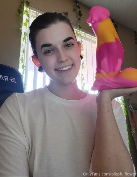 blissfulflower haut étoile collection