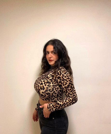 Noam L estrella hermosa galerías