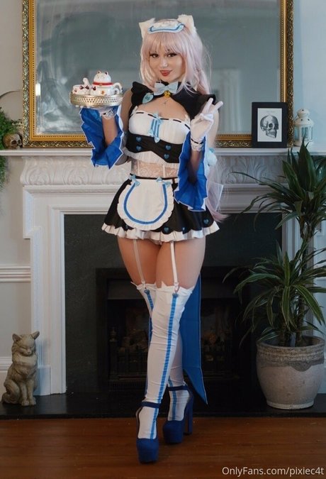 pixiec4t best model gallery