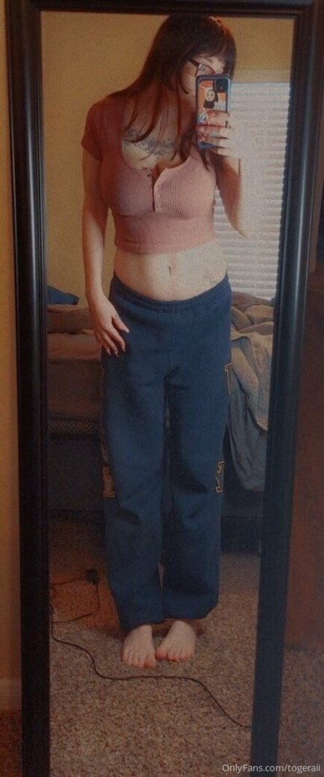 togeraii modelo superior galerías