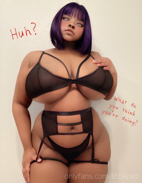 roarwie haut modèle galeries