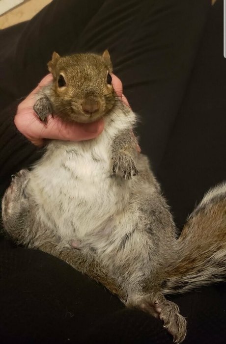 mikaylarainesfans modelo caliente recopilación