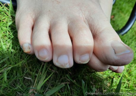 homefortoes estrella perfecta recopilación