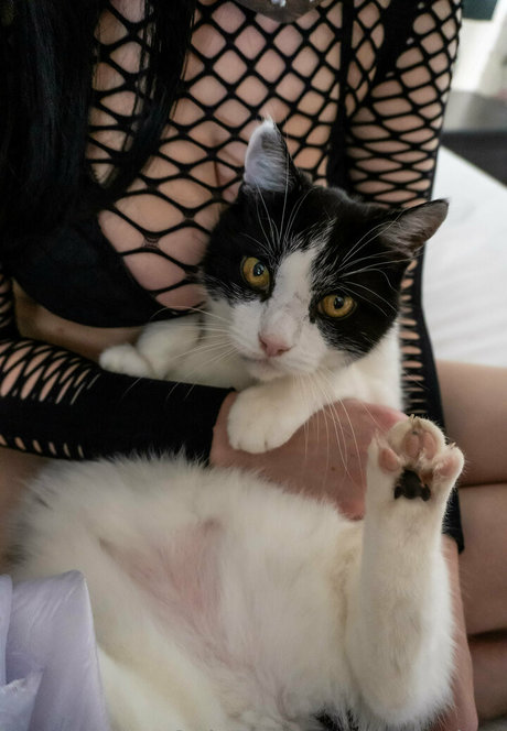 pennykun buena estrella porno galerías