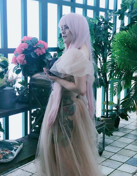 Di Simon modelo superior imagen