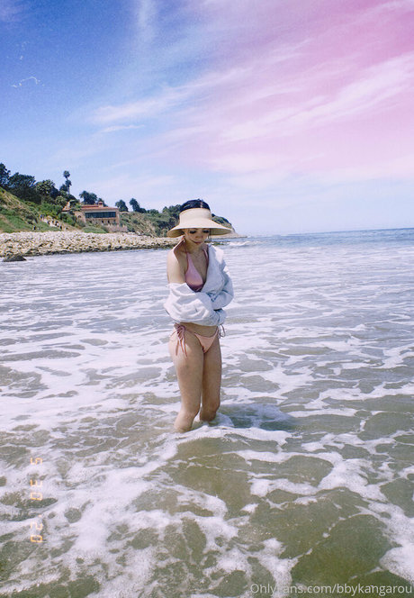 bbykangarou étoile adulte collection