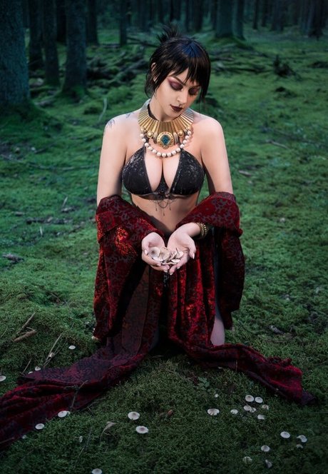 Senedy modelo recopilación