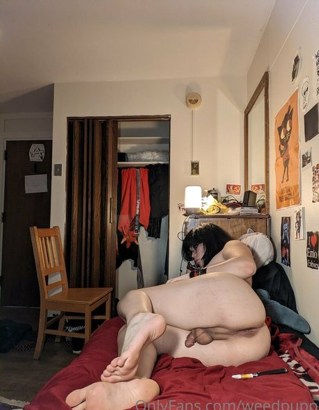 weedpupp top star img