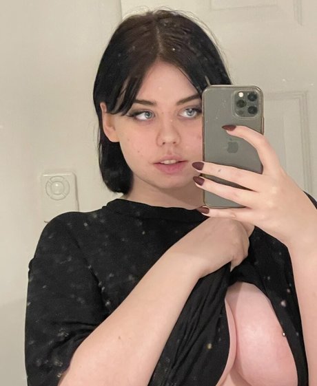 Hickorymoth estrella adulta galería