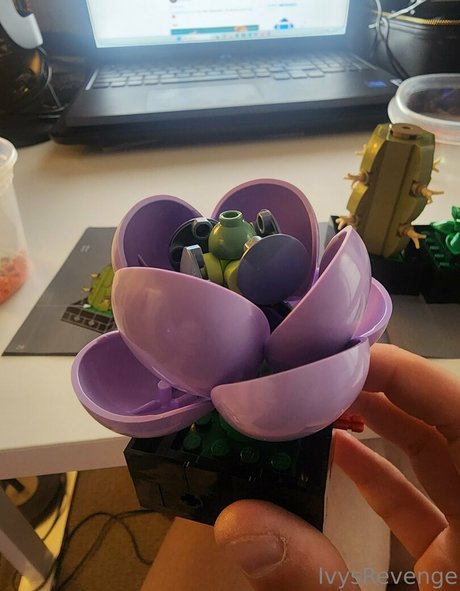 Latinas delgadas onlyfans caliente de alta calidad archivo