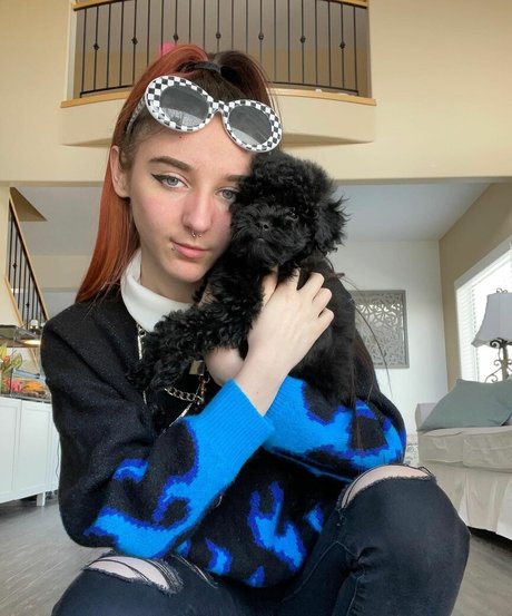 Jaydecandance art star du porno photo