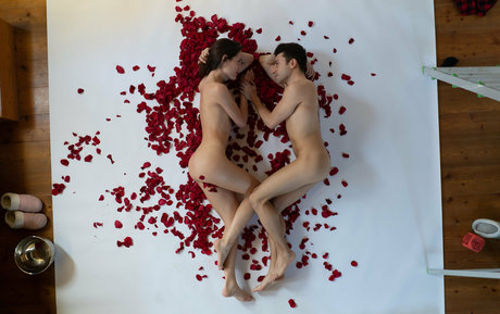 My Sweet Apple nus étoiles collection