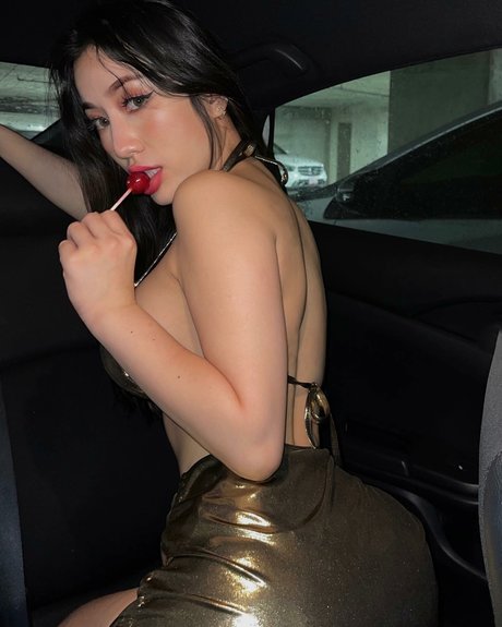 Bear Jocelyn meilleur modèle img