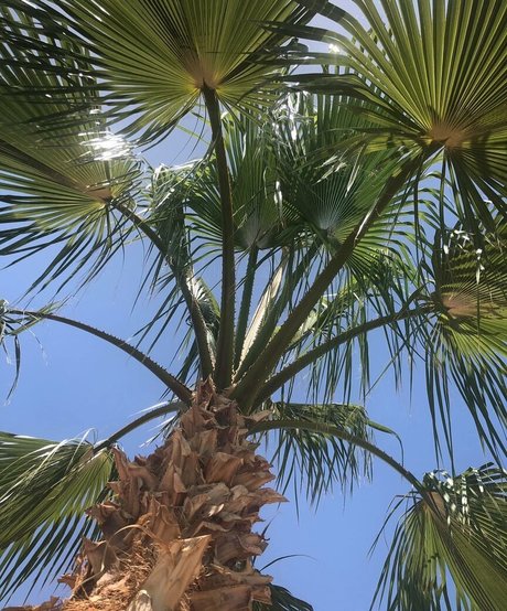 Natasha Thomsen meilleure actrice images