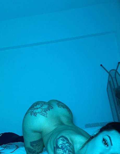 prvega28 haut modèle galerie