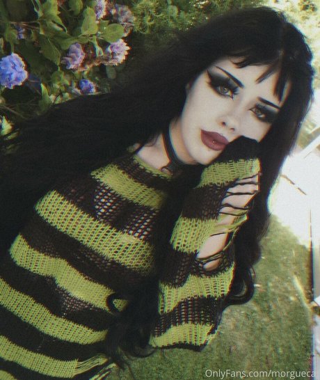 morguecat estrella sexy archivo