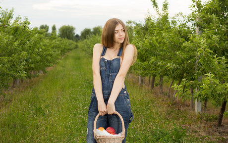 Kay J étoile gratuite archive