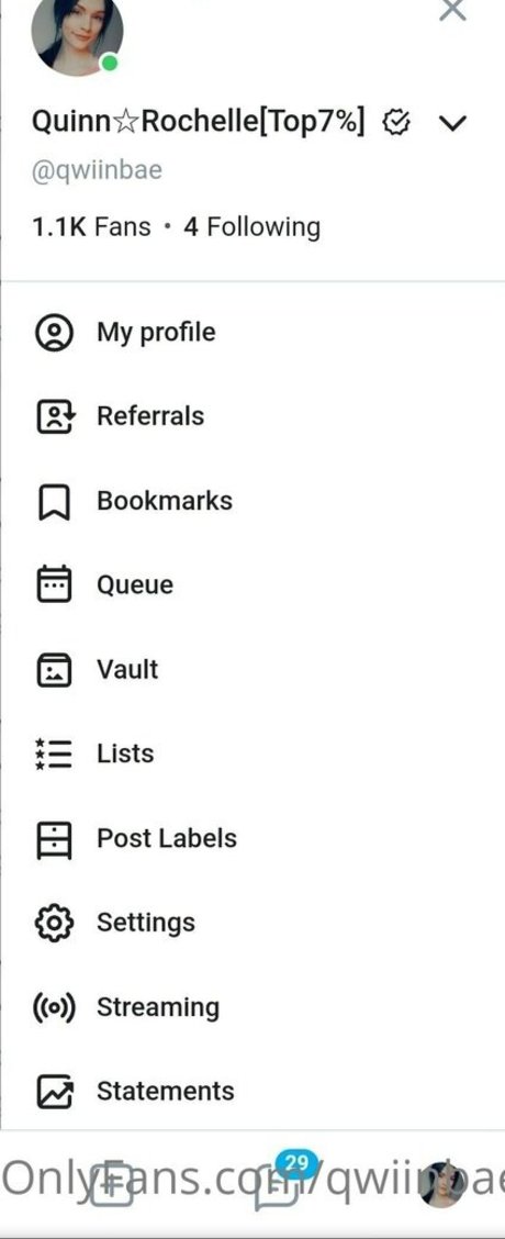 qwiinbae modelo agradable archivo