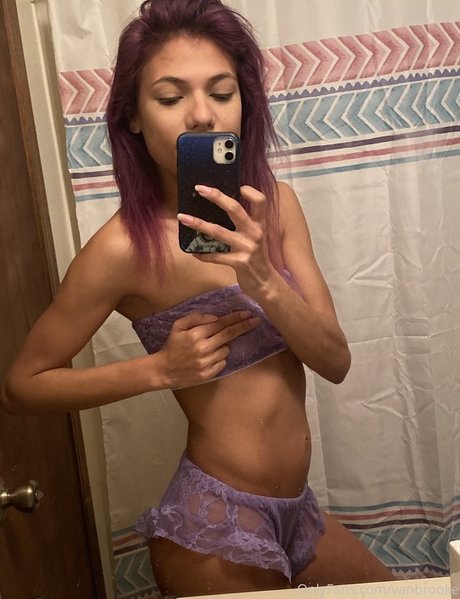 Vanbrooke estrella de alta definición foto