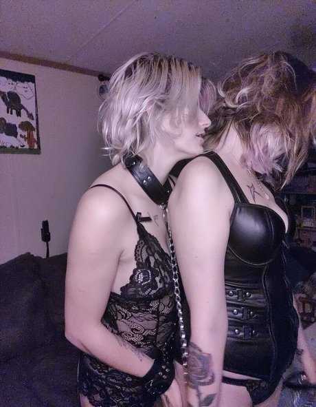 kittens playpen étoile de haute qualité images