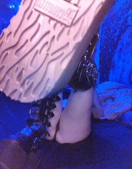 kittens playpen étoile nue photos