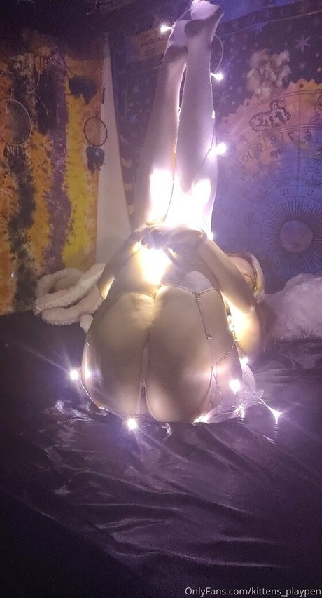 kittens playpen modelo de alta definición foto