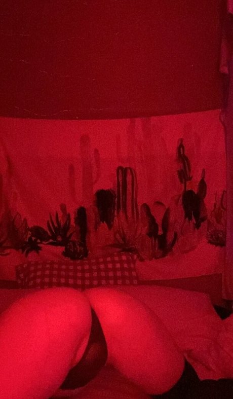 Sushimama belle étoile galeries