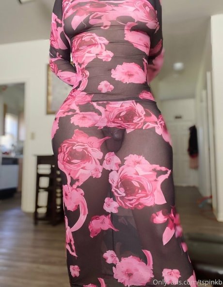 tspinkb estrella imagen