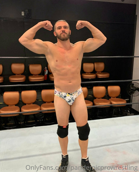 pandemicprowrestling modèle artistique img