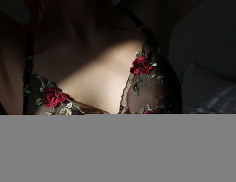 meowkott modèle parfait image