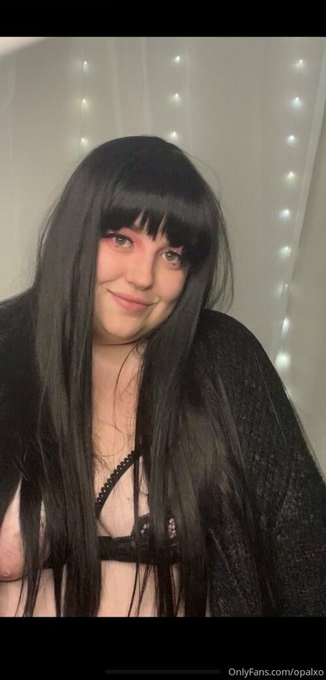 opalxo modèle archive