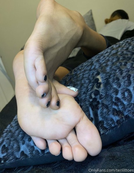 tenlittoes modelo hd galería