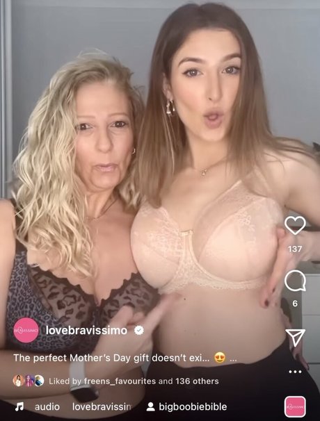 Bigb00biebible estrella de alta calidad recopilación