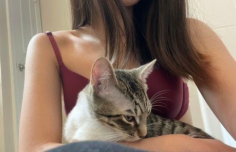 everybodymeow estrella hermosa fotos