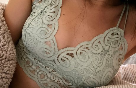 everybodymeow étoile de l'art galerie