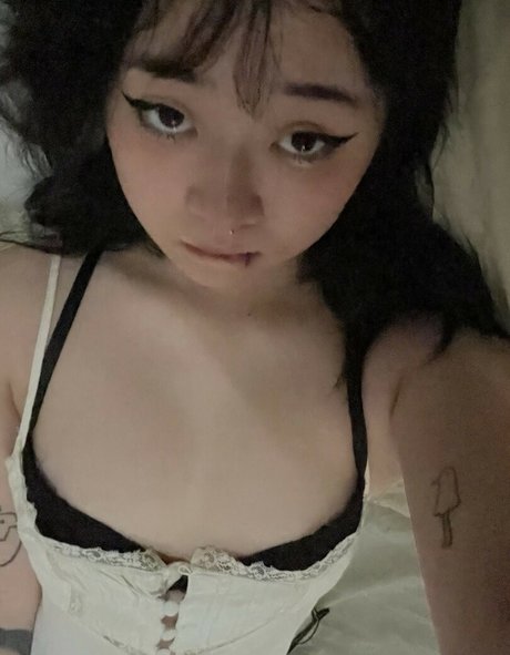 Asian Beauties modelo erótico archivo