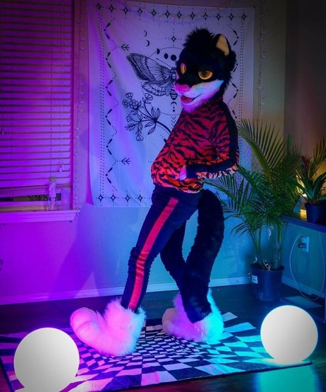 yiffykitty estrella de alta calidad galerías