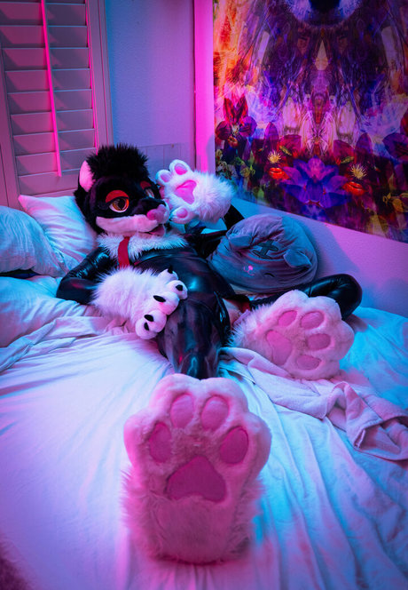 yiffykitty estrella porno desnuda galerías