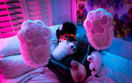 yiffykitty étoile hd images