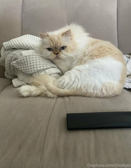 chibibyte hermosa actriz fotos