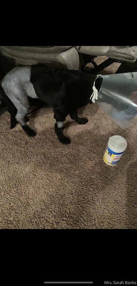 thesarahbnkx estrella porno desnuda imagen