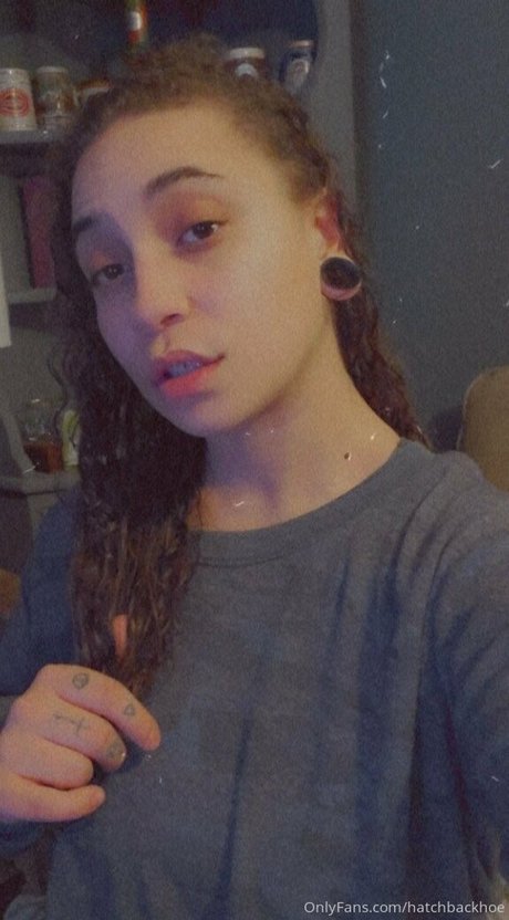 hatchbackhoe modelo bonita imagen