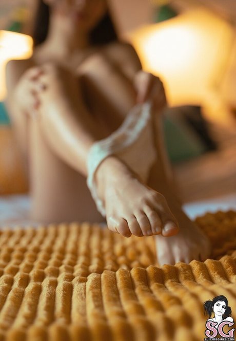 bambisparadise star du porno exclusive collection