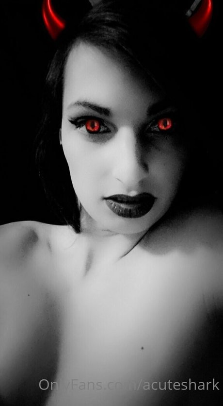 acuteshark nus étoiles galerie