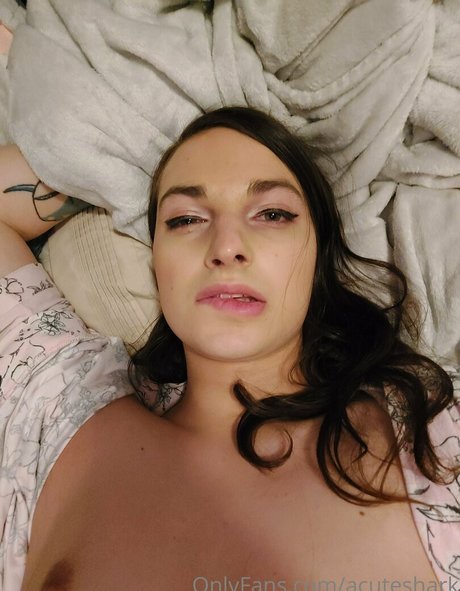 acuteshark bonita estrella imagen