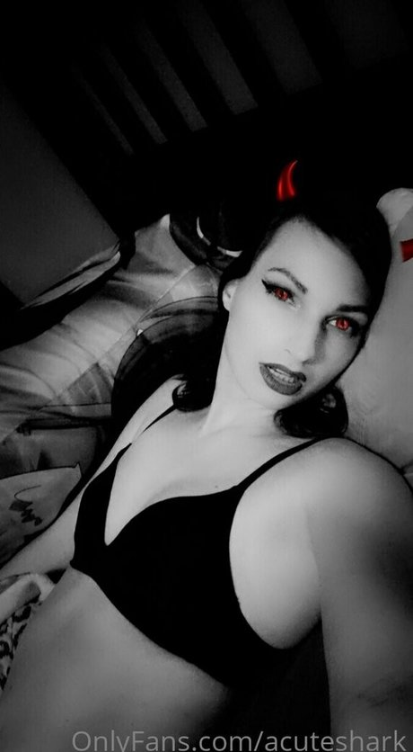 acuteshark nus étoiles photos