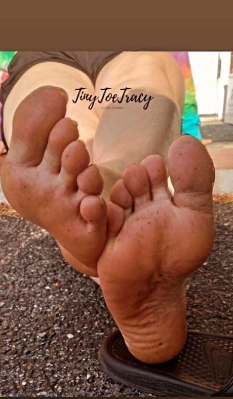 tinytoetracy nude pornstar pics