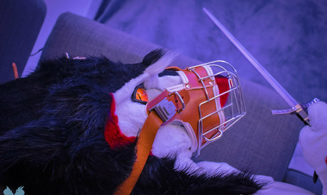 sergnderg modèle hd archive